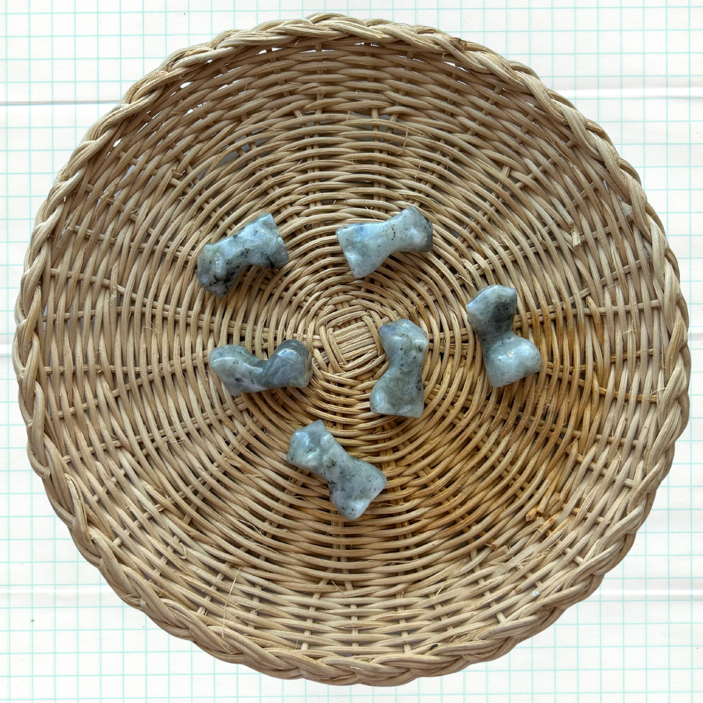 LABRADORITE FEMALE BODY