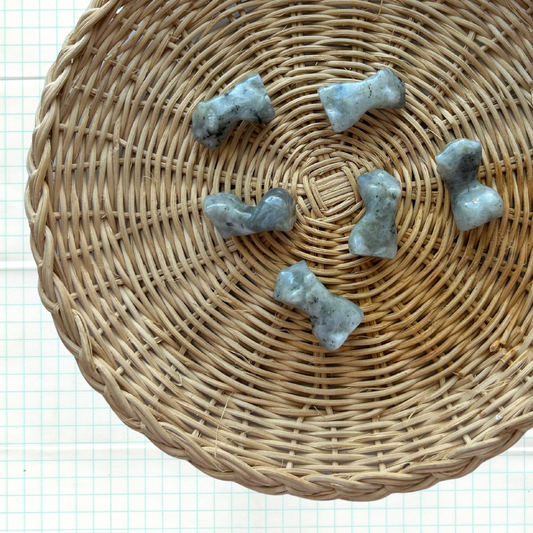 LABRADORITE FEMALE BODY