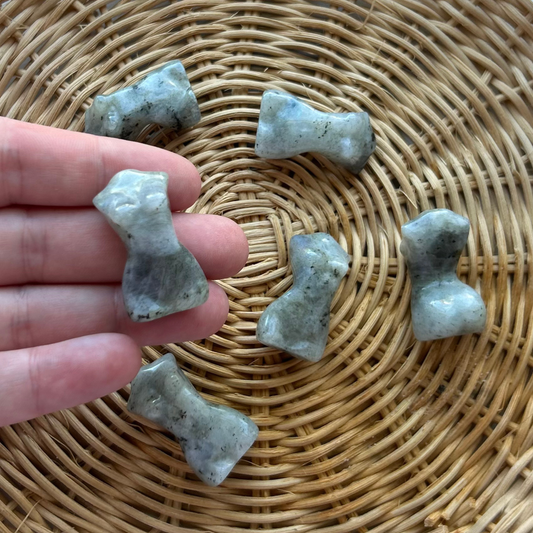 LABRADORITE FEMALE BODY